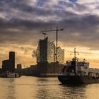 Elbphilharmonie im Morgenlicht II