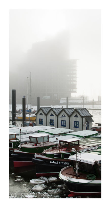 Elbphilharmonie im Nebel