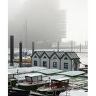 Elbphilharmonie im Nebel