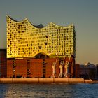 Elbphilharmonie in goldener Stunde