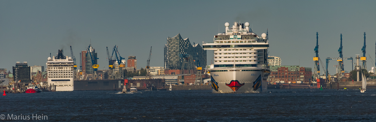 Elbphilharmonie mit AIDA und MSC