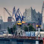 Elbphilharmonie - Tanz der Kräne