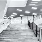 Elbphilharmonie Treppen mit Aussicht