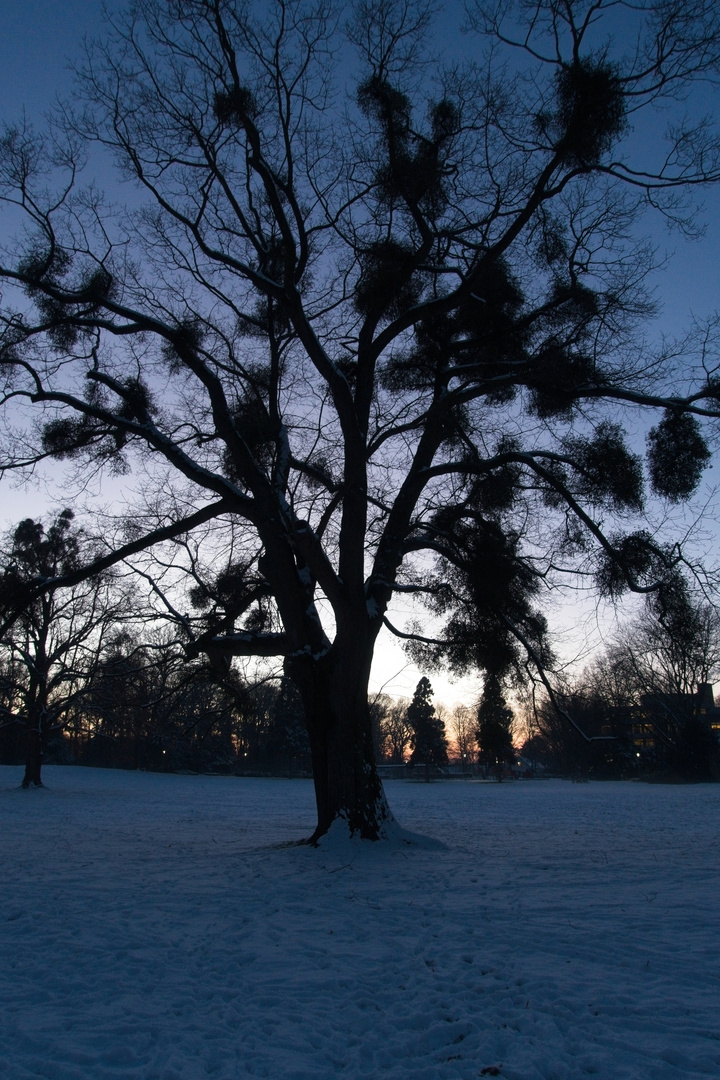 Elbruchpark