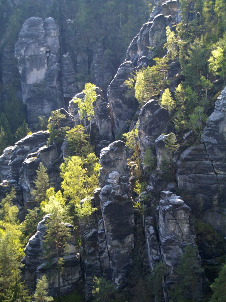 Elbsandstein-Frühling bei Rathen von Helmut49 