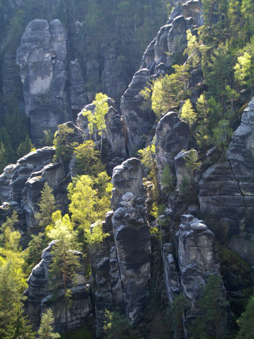 Elbsandstein-Frühling bei Rathen