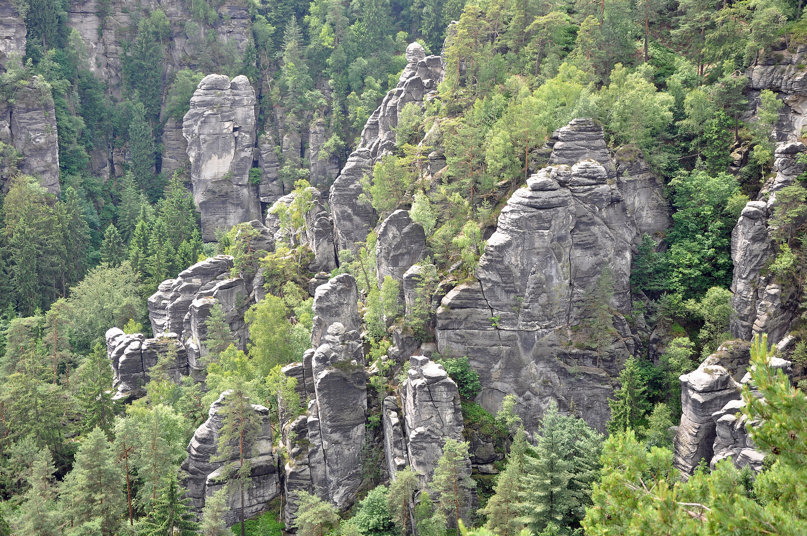 Elbsandstein-Gebirgs-Landschaft