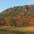 Elbsandstein im Herbst