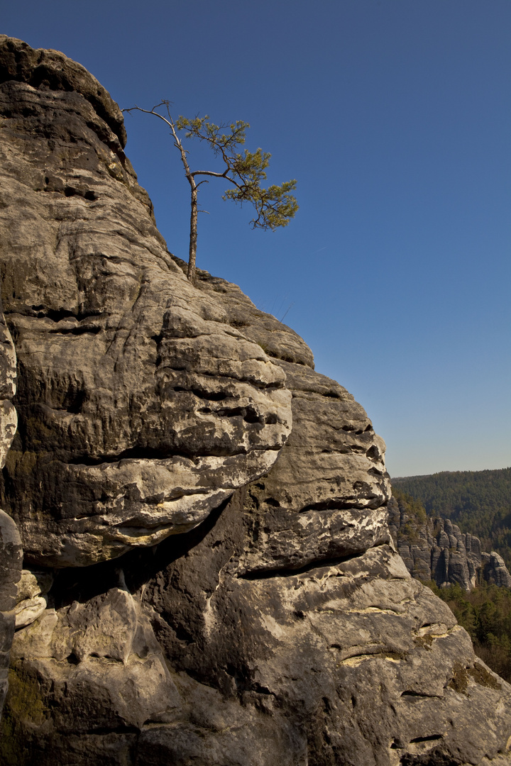 Elbsandsteingebirge