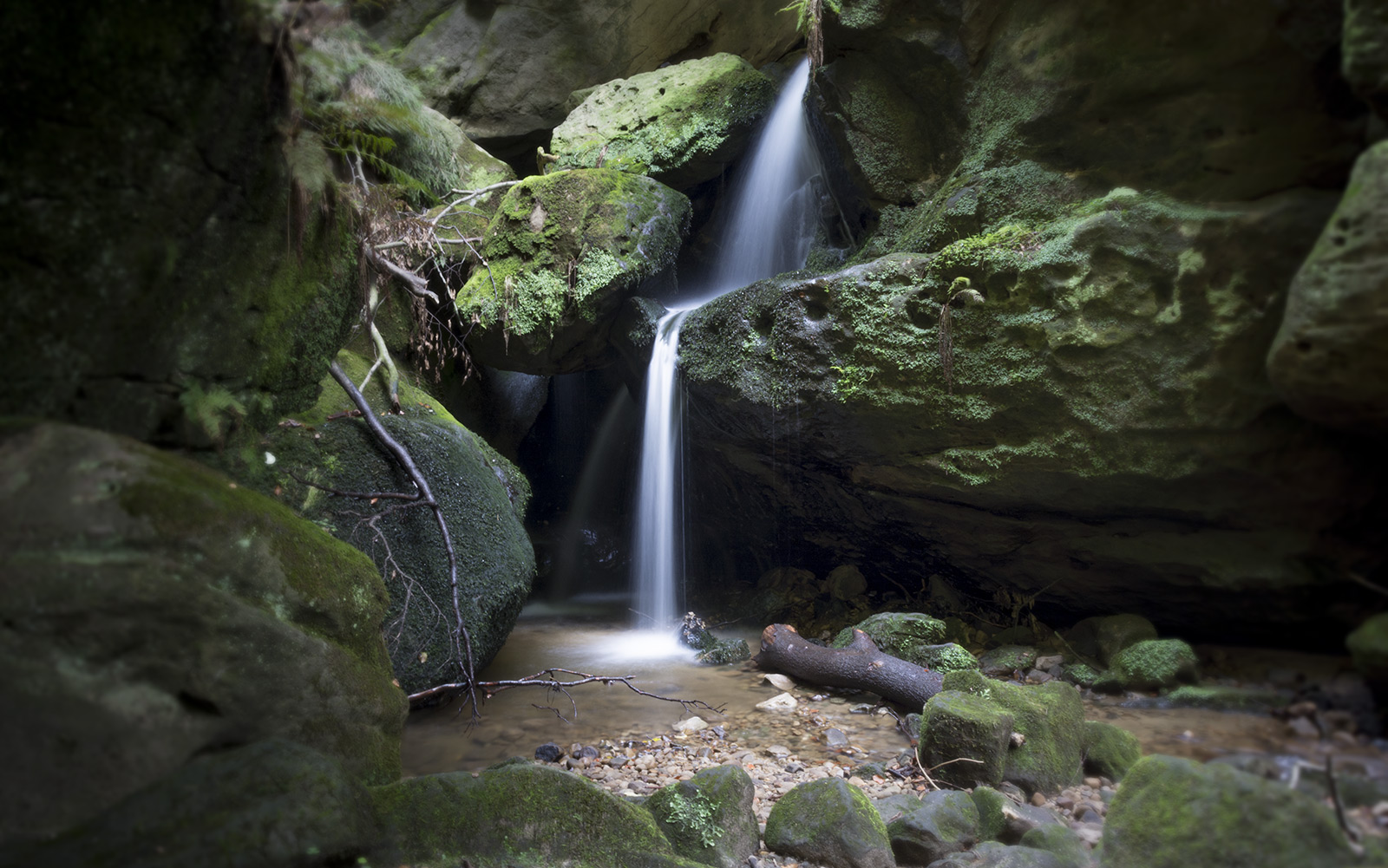 Elbsandsteingebirge, am Grünbach auf dem Weg zum Amselfall