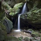 Elbsandsteingebirge, am Grünbach auf dem Weg zum Amselfall