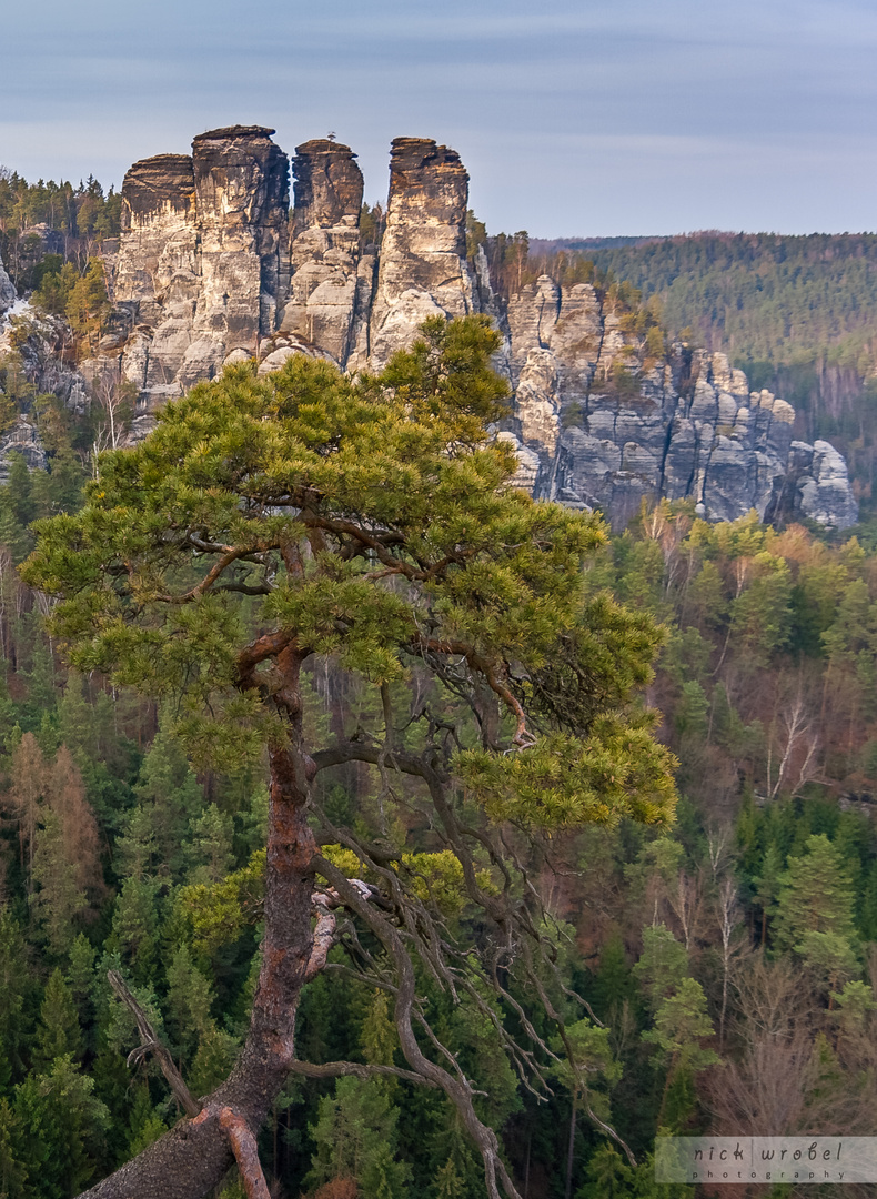 Elbsandsteingebirge