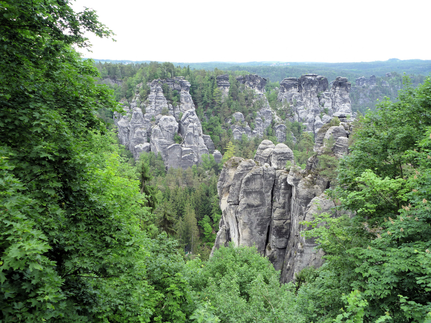 Elbsandsteingebirge der Sächsischen Schweiz