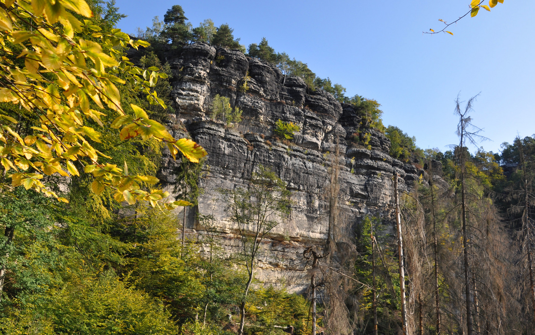 Elbsandsteingebirge 