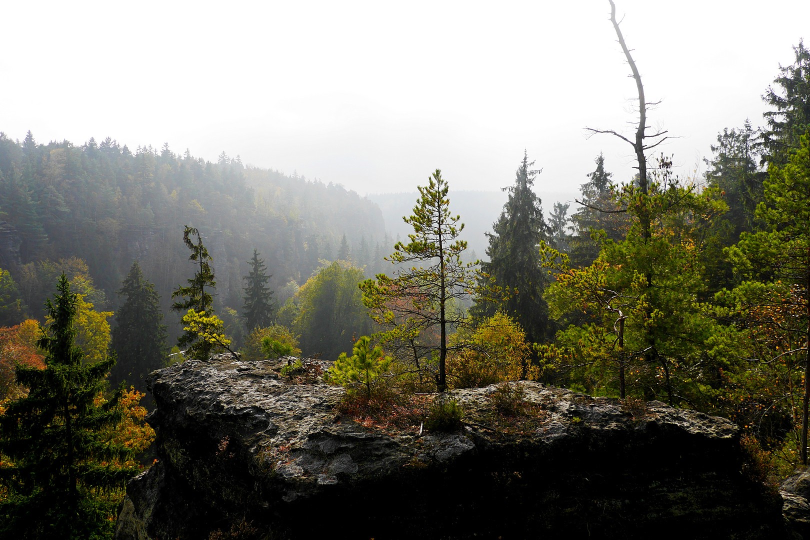 Elbsandsteingebirge