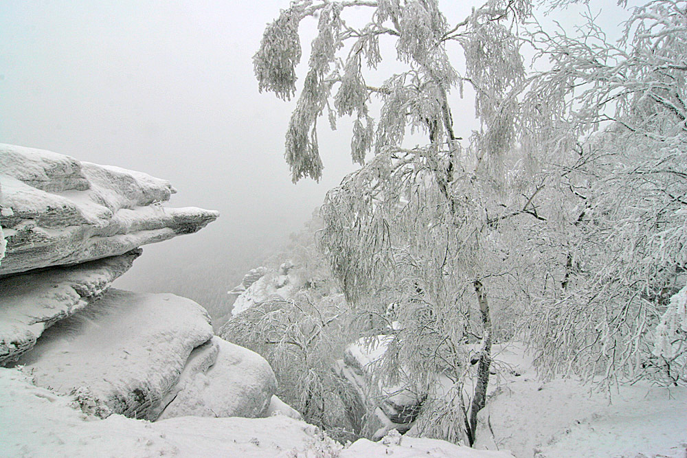 Elbsandsteingebirge, großer Zschirnstein