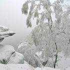 Elbsandsteingebirge, großer Zschirnstein