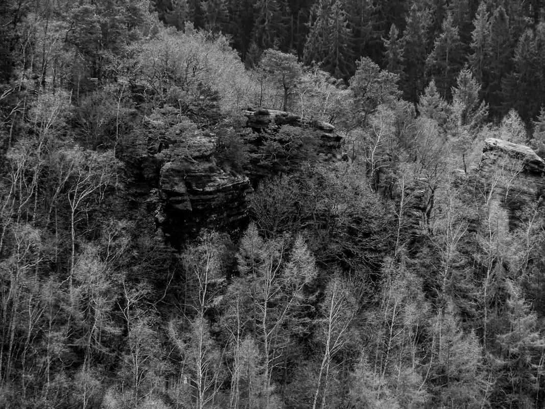 Elbsandsteingebirge im Herbst