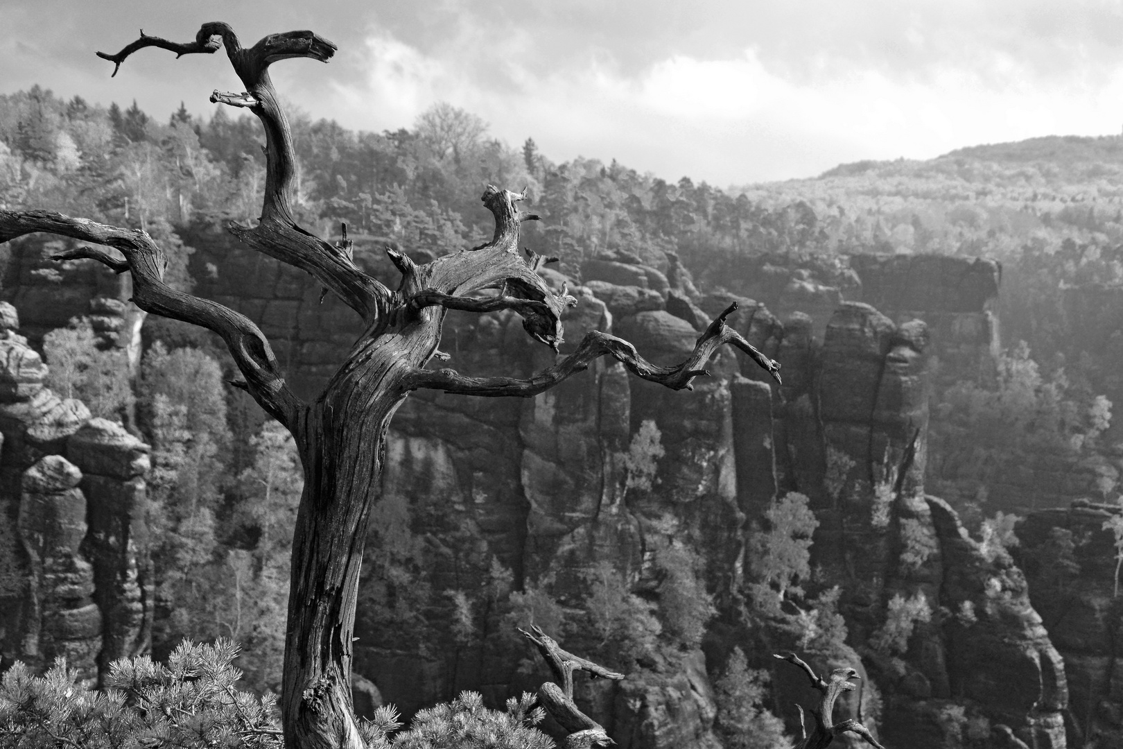 Elbsandsteingebirge im Herbst