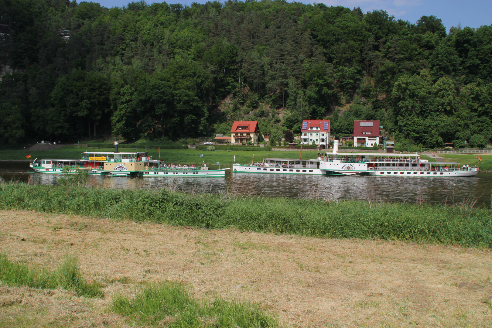 Elbsandsteingebirge: Raddampfer Dresden trifft Raddampfer Rathen