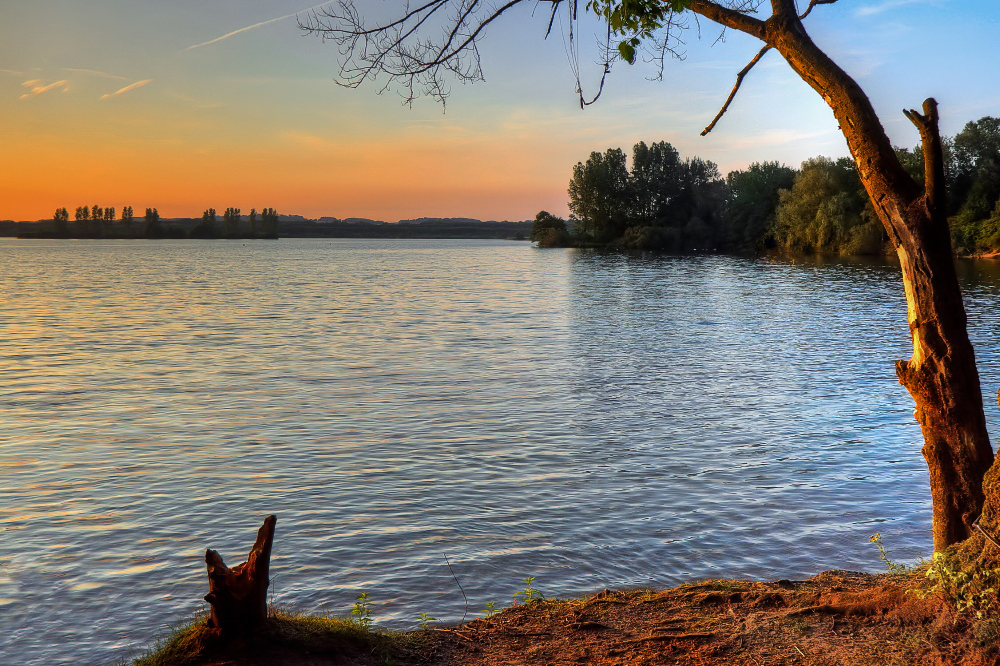 Elbsee-Düsseldorf