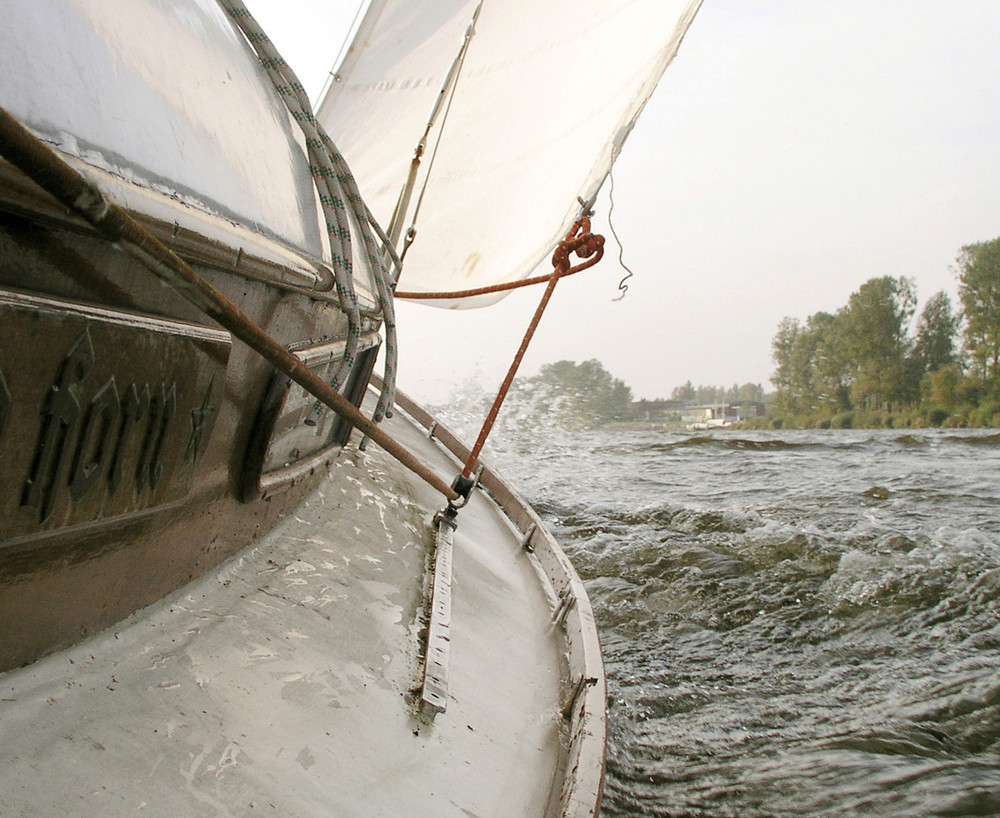 Elbsegeln auf dem Jollenkreuzer