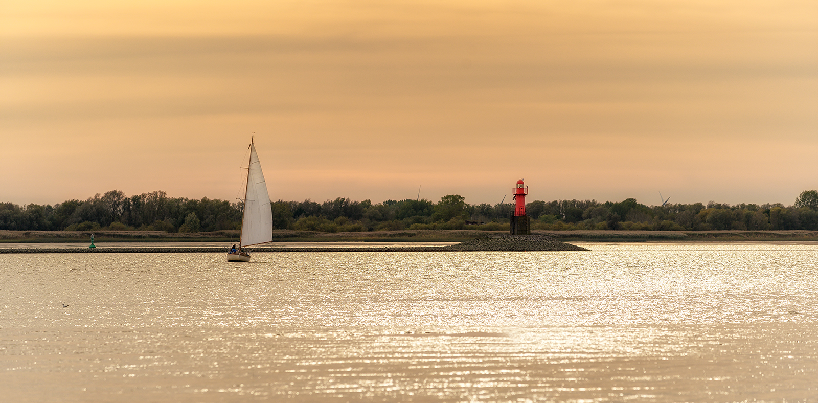 Elbsegler im Abendlicht