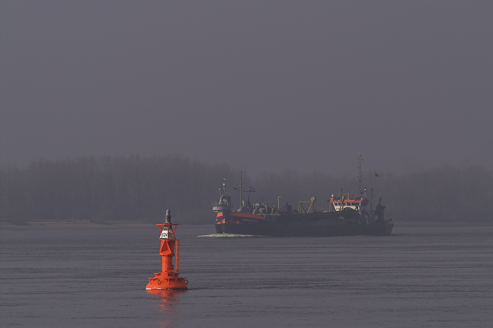 Elbspaziergang bei Wittenbergen