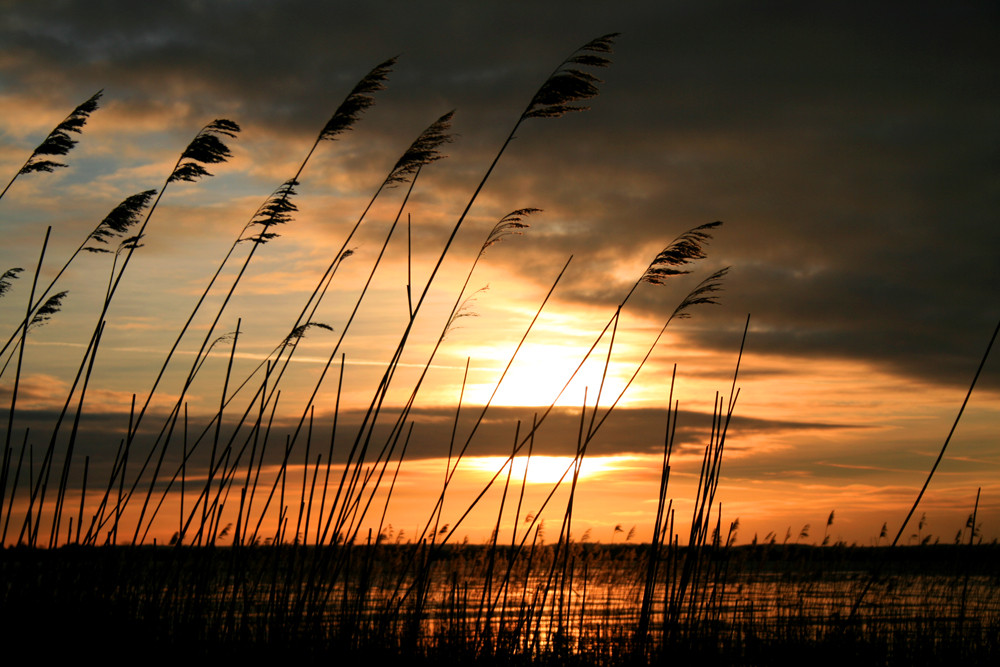 Elbstrand