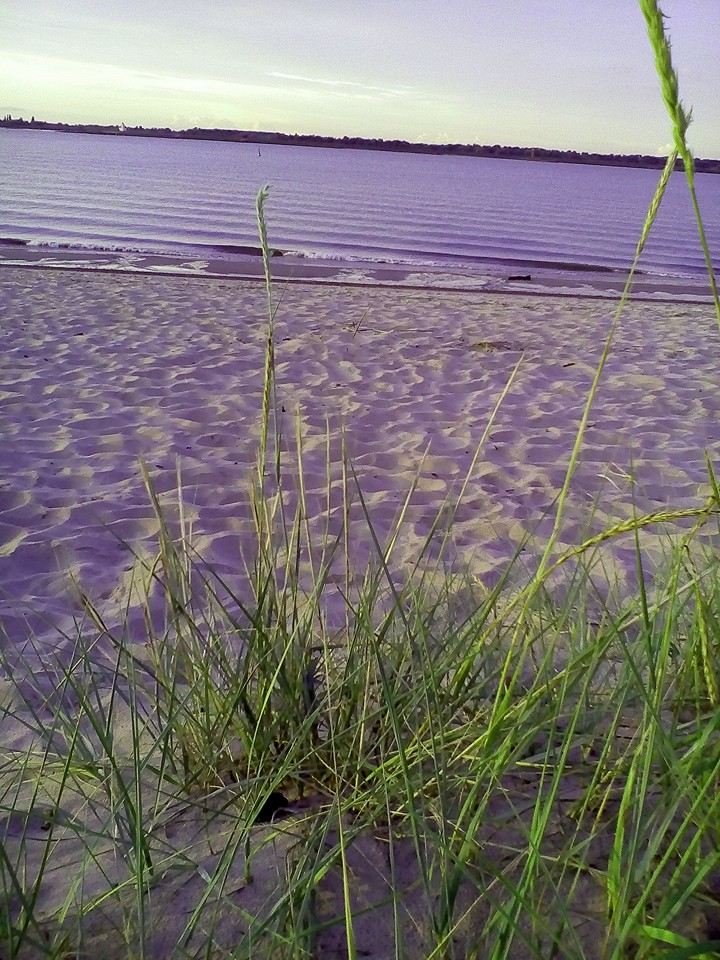 Elbstrand Bassenfleth