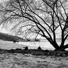 Elbstrand bei Schietwetter