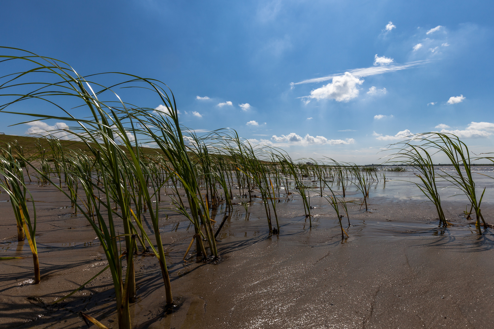 Elbstrand