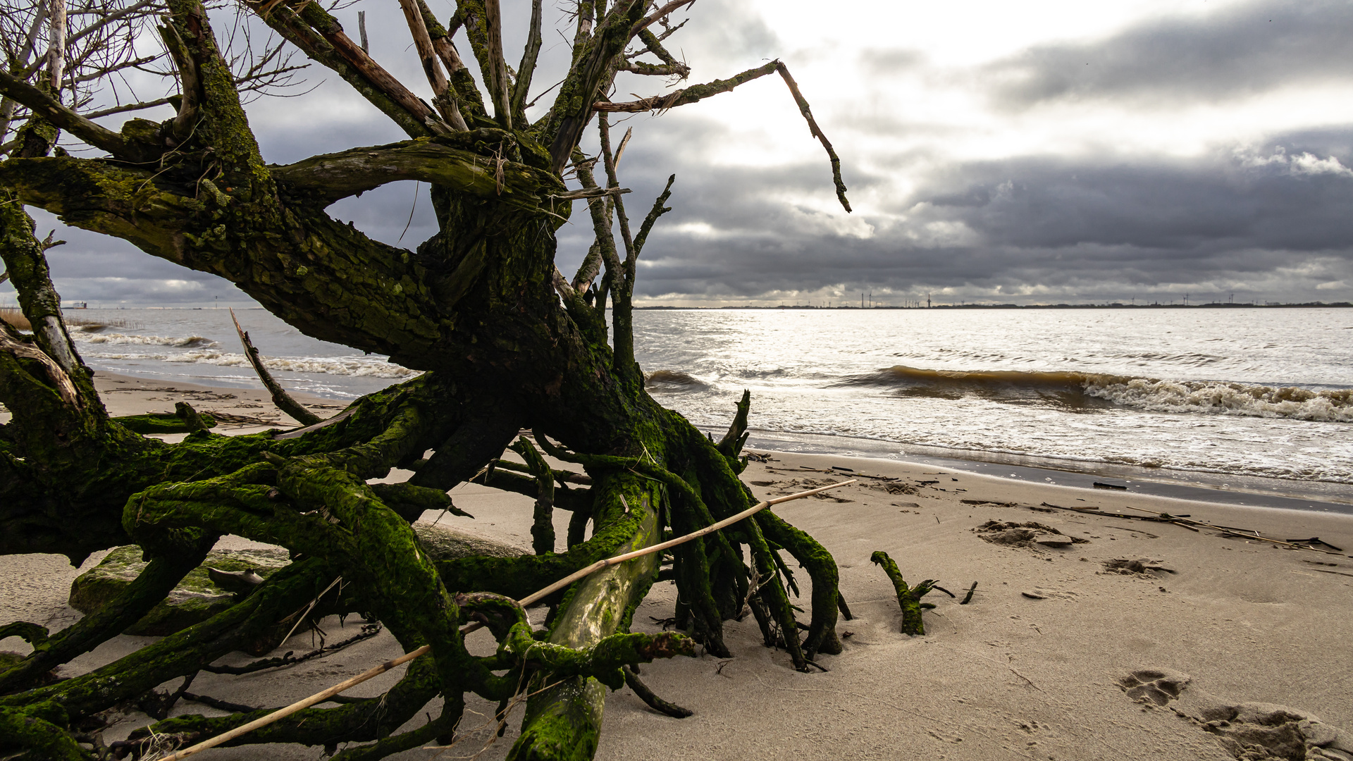 elbstrand