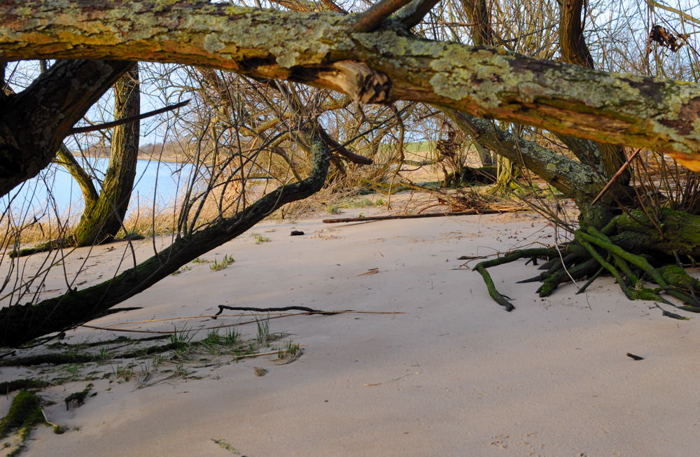 Elbstrand Hamburg