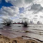 Elbstrand Hamburg