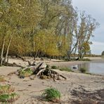 Elbstrand im Bereich der Hetlinger Schanze