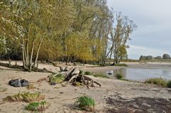 Elbstrand im Bereich der Hetlinger Schanze