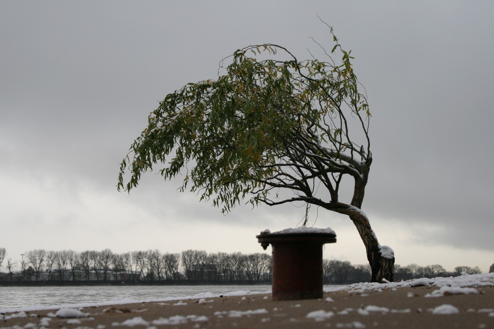 Elbstrand im Winter