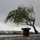 Elbstrand im Winter