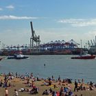 Elbstrand in Övelgönne - ein beliebtes Ausflugsziel in Hamburg