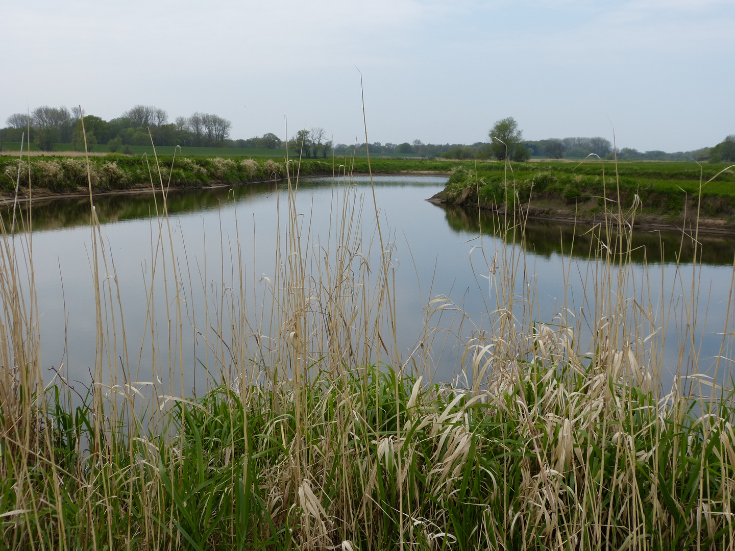 Elbtal bei Barförde