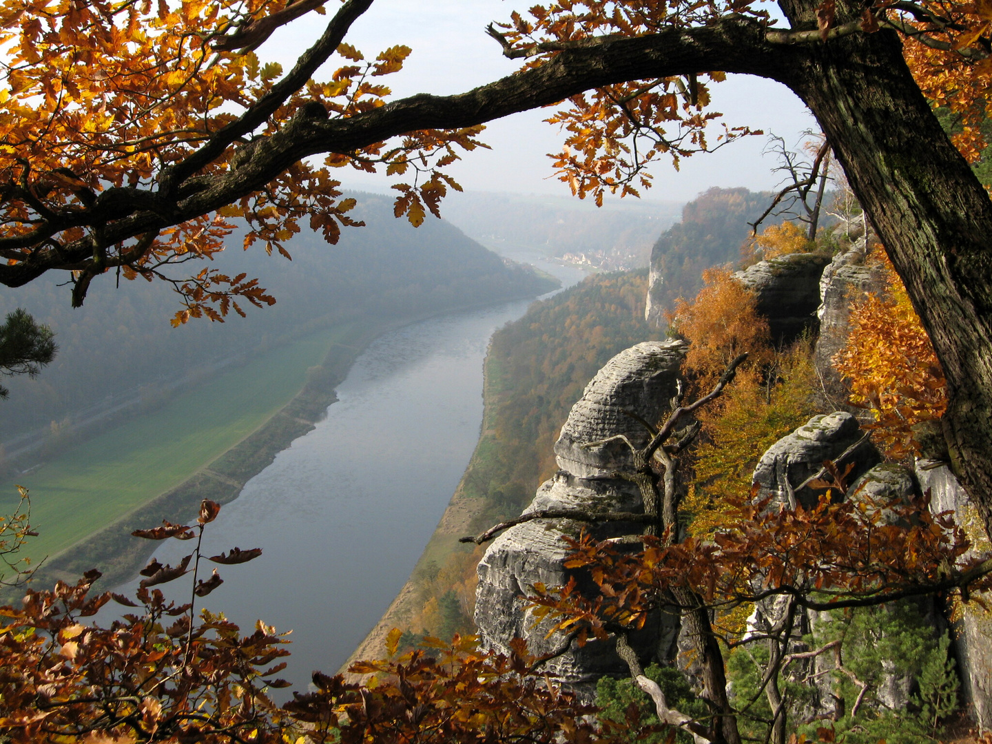 Elbtal im Herbstzauber (2)