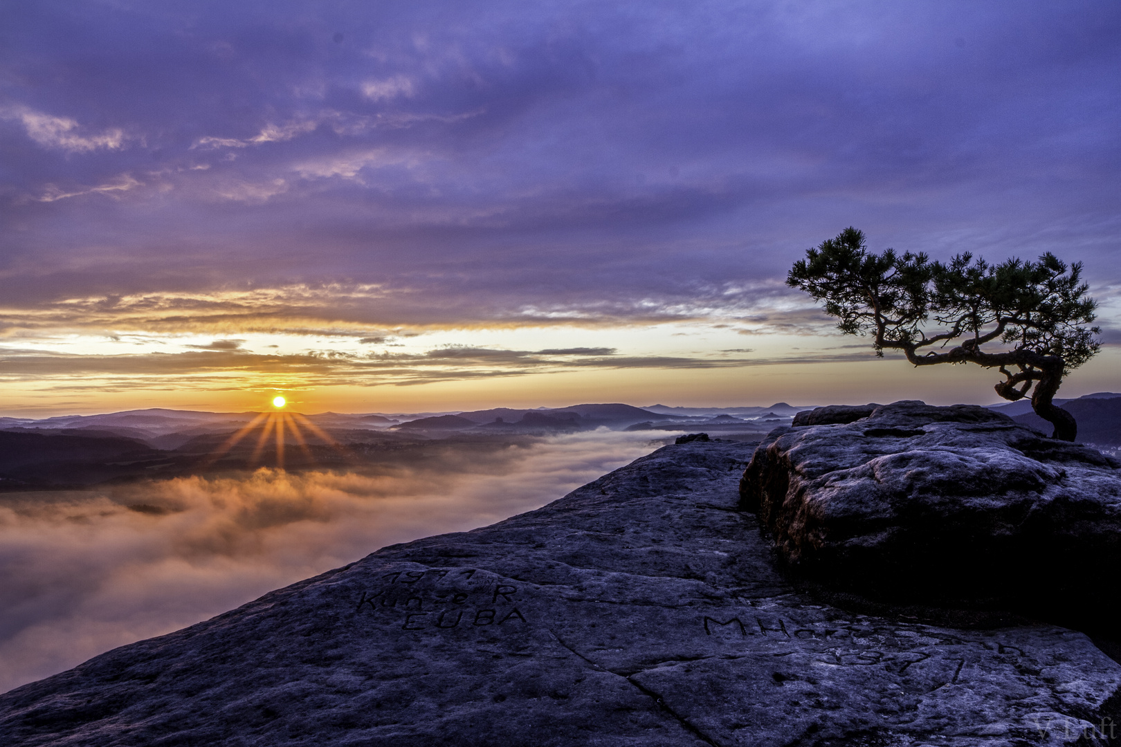 Elbtal im Morgengrauen