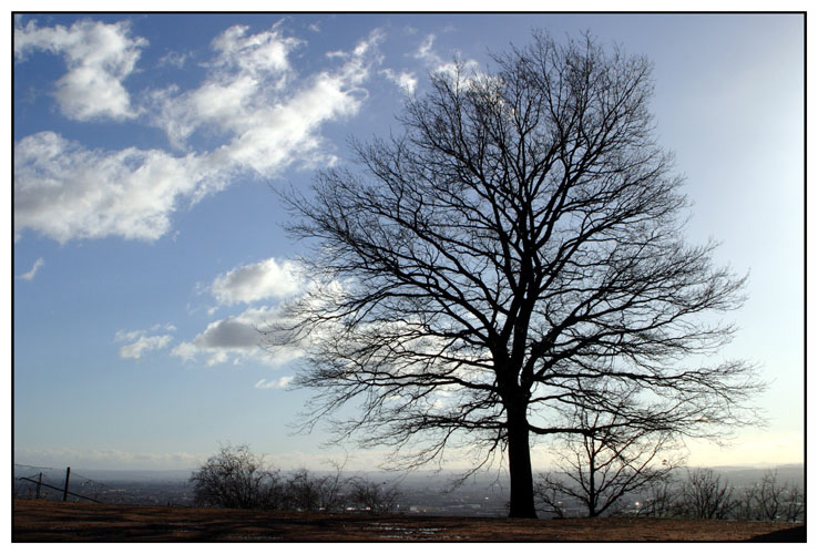 Elbtalblick im Winter