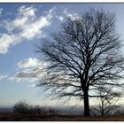 Elbtalblick im Winter