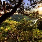 Elbtalblick von der Bastei aus