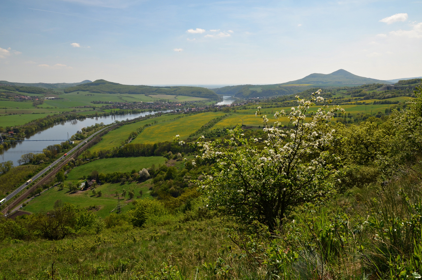 Elbtallandschaft im Frühling