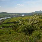 Elbtallandschaft im Frühling