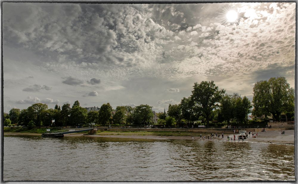 Elbufer Dresden: Spaziergang