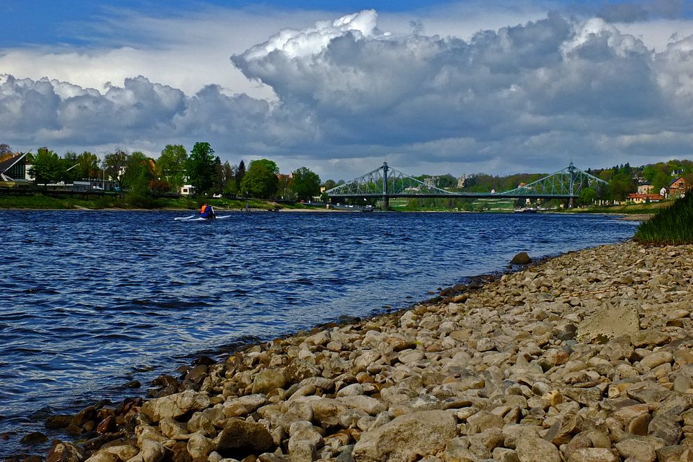 Elbufer in Dresden